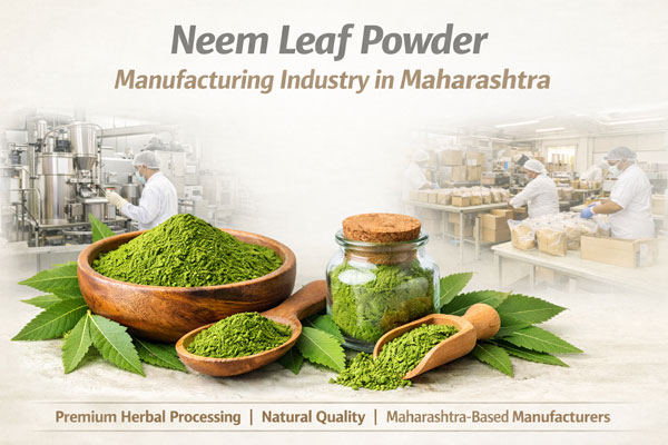Neem Leaf Powder Manufacturing Industry in Maharashtra